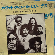 DOOBIE BROTHERS / What A Fool Believes 7inch
