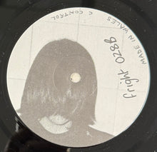 Load image into Gallery viewer, POOH STICKS / The Pooh Sticks ( Fierce Recordings – fright 028, LP)
