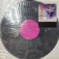MUSEUM OF PLATE / 像音 (Sho-on, 12inch)