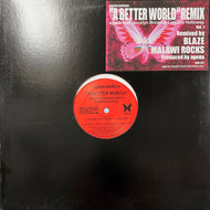 AGEHA ANTHEM / A Better World ( KSS 1164, 12inch)