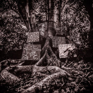 KAMASI WASHINGTON / HARMONY OF DIFFERENCE / Truth