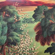 PLAYERS / GALAXY(25AP 1011,LP)