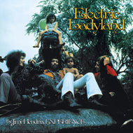 JIMI HENDRIX EXPERIENCE / Electric Ladyland ( Legacy, 19075859041, 6LP+Blu-ray)