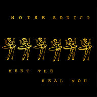 NOISE ADDICT / Meet The Real You ( Grand Royal – GR 024-1, LP)