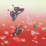 PEGGY GOU Feat. Ohhyuk / Nabi ( Gudu Records – GUDU006, 7inch)