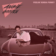 ANGIE GOODEN / Feelin' Kinda Funky ( Magic Funk Records ‎– MCFK4003, 12inch)