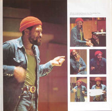 Load image into Gallery viewer, MARVIN GAYE / Anthology (Motown – M 791A3, LP)
