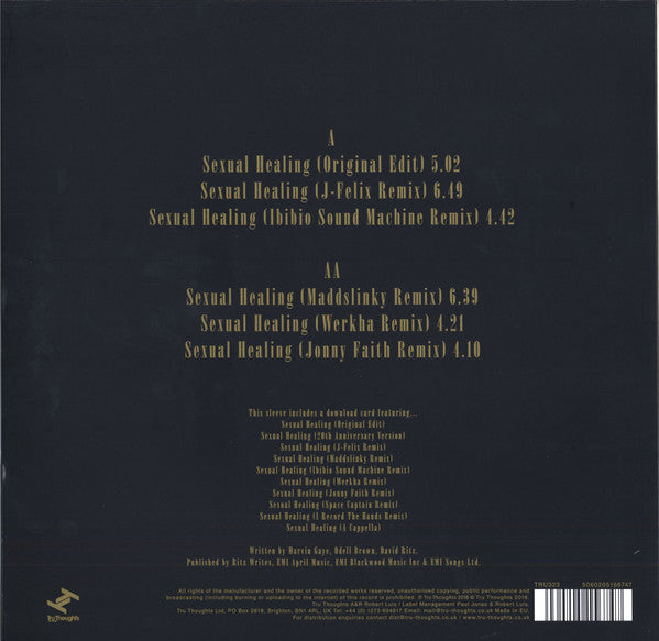 THE HOT 8 BRASS BAND Sexual Healing レコード HOT 8 BRASS BAND / Sexual Healing ( Tru Thoughts – TRU323,12inch