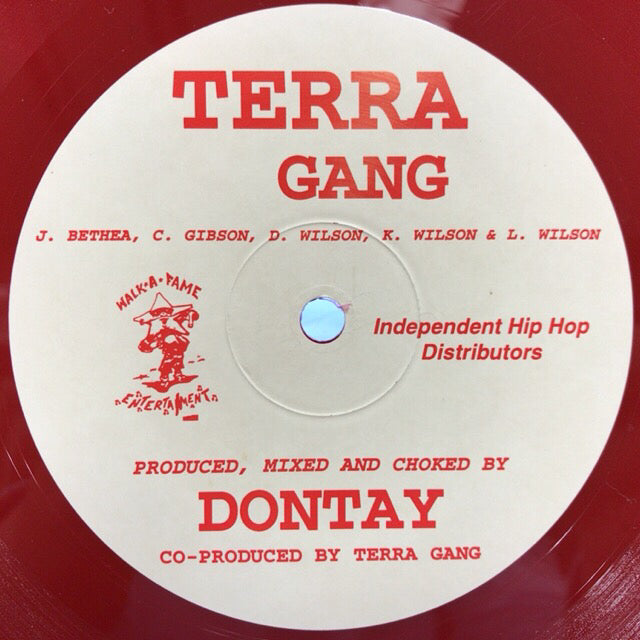 TERRA GANG / DON'T LET IT GO YAHEAD(IHH02,12inch ) – TICRO MARKET