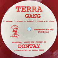 TERRA GANG / DON'T LET IT GO YAHEAD