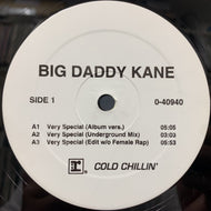 BIG DADDY KANE / Very Special / Stop Shammin' (0-40940, 12inch)