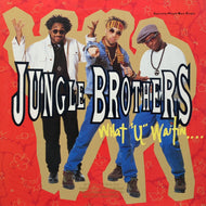 JUNGLE BROTHERS / What 