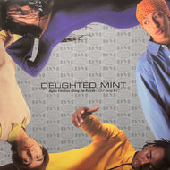 DELIGHTED MINT / Higher Elevation / Along The Bayside (Giant Swang Mix) DMLP-0001, 12inch