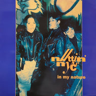 NUTTIN' NYCE / In My Nature (JIVE T 338, 12inch)