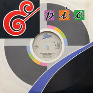 WORLD CLASS WRECKIN' CRU / Mission Possible / World Class Freak (TA 7281, 12inch)