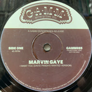 DAVID PANDA / SPATIO / Marvin Gaye / Musiq / R Kelly (GAMM065, 12inch)