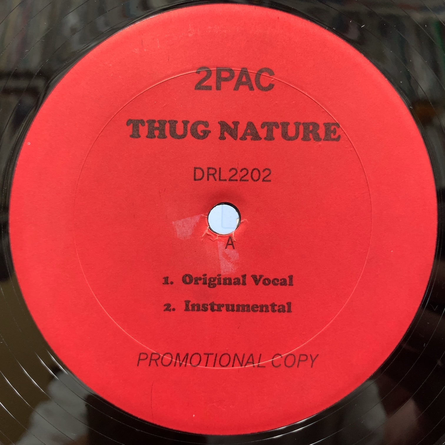 2PAC / Thug Nature / Wanted Dead Or Alive (DRL2202, 12inch