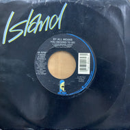 BY ALL MEANS / You Decided To Go/I Surrender To Your Love (99239, 7inch)
