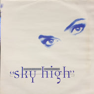 VOICES Present INDIVIDUAL / Sky High (Sound Of Ministry, SOMT17, 12inch)