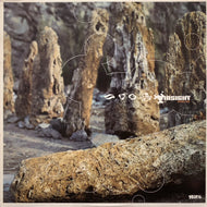 INSIGHT / Evolve (TRG-BRK 045, 12inch)