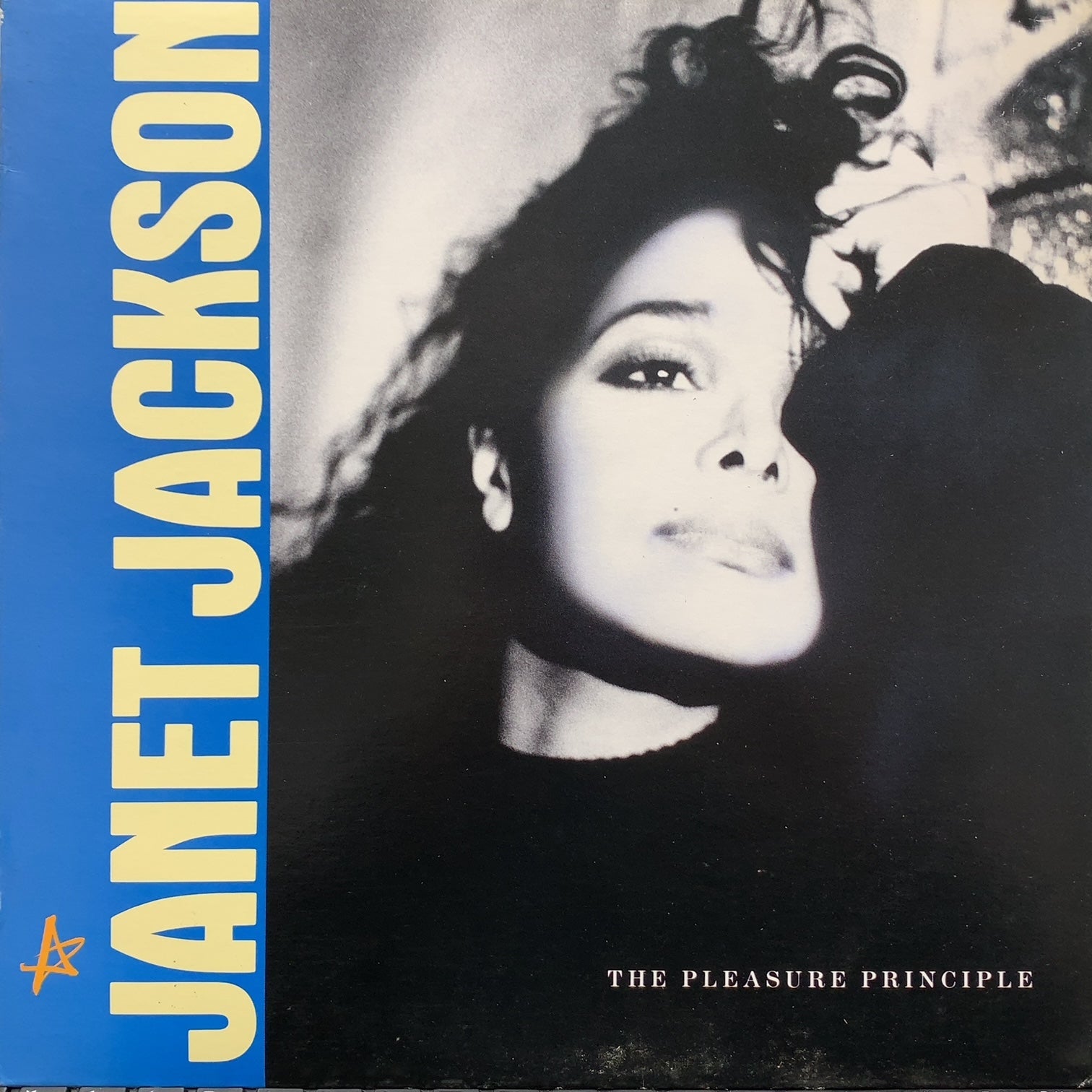 JANET JACKSON / The Pleasure Principle (C12Y3178