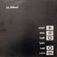 DJ SHADOW / What Does Your Soul Look Like (MW027, 12inch) Reissue