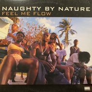NAUGHTY BY NATURE / Feel Me Flow (TB 682, 12inch)