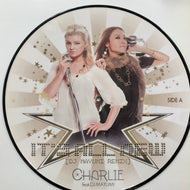 CHARLIE / It's All New (DJ Mayumi Remix) DT024T, 12inch