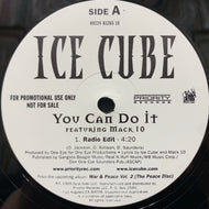 ICE CUBE / You Can Do It (Reissue, 12inch)