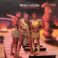 IMAGINATION / In The Heat Of The Night (MCA-5373, LP)