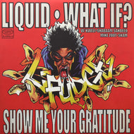 L-FUDGE / Liquid / What If? / Show Me Your Gratitude (RWK 145, 12inch)