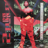 2PAC / STRICTLY 4 MY N.I.G.G.A.Z...