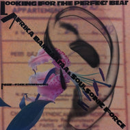 AFRIKA BAMBAATAA & THE SOULSONIC FORCE / LOOKING FOR THE PERFECT BEAT