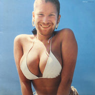 APHEX TWIN / WINDOWLICKER