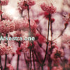 ARKESTRA ONE / SAME