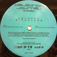 ANTHONY NICHOLSON / CELESTIAL JOURNEY