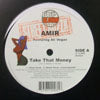 AMIR / TAKE THAT MONEY