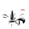 AROVANE / LILIES