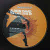 ALISON DAVID / THE LAST LOOK EP