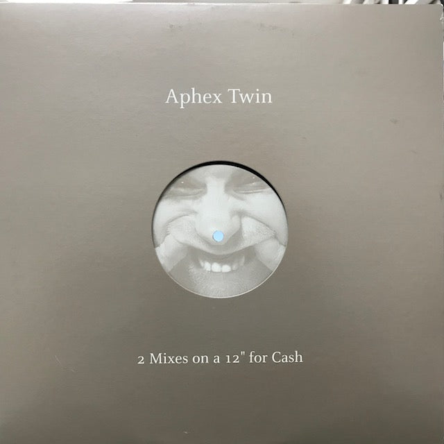 洋楽 Aphex Twin 2 Mixes on a 12\
