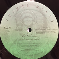 ANTONIO OCASIO / AZANDE - AFRICA NUEVA