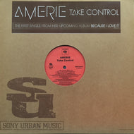 AMERIE / TAKE CONTROL
