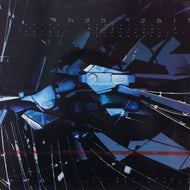 AMON TOBIN / VERBAL