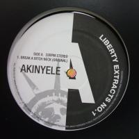 AKINYELE / BREAK A BITCH NECK – TICRO MARKET