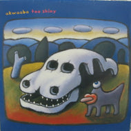 AKWAABA / TOO SHINY
