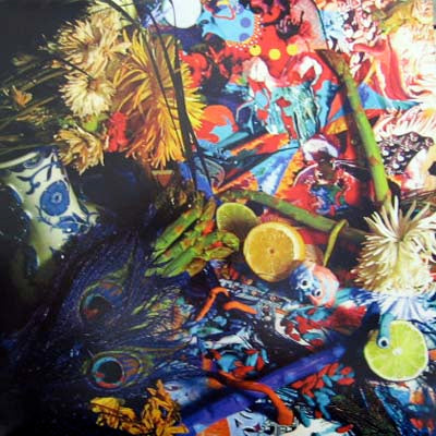 ANIMAL COLLECTIVE / SUMMERTIME CLOTHES