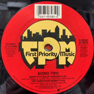AUDIO TWO / Many Styles / The Questions