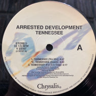 ARRESTED DEVELOPMENT / TENNESSEE