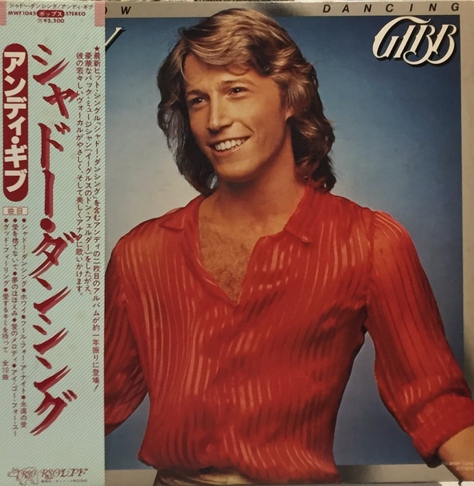 Andy Gibb　Shadow Dancing　リミックス集 CD　ビージーズ ANDY GIBB / SHADOW DANCING – TICRO MARKET