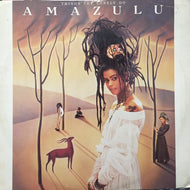 AMAZULU / THINGS THE LONELY DO